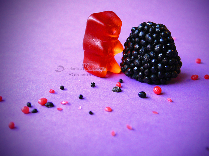 Bear Eating Blackberry