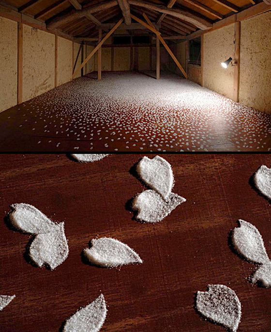 Salt-Art-by-Motoi-Yamamoto