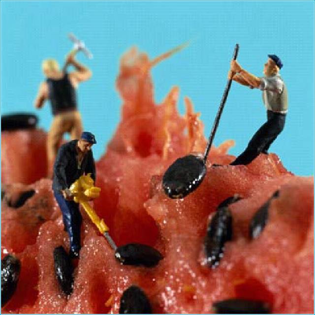 Men Working on Watermelon