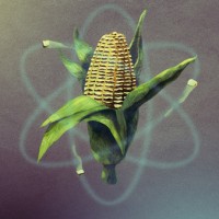 Corn Kernel Atom
