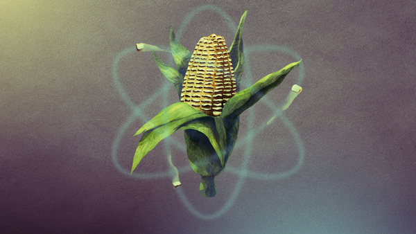Corn Kernel Atom