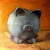 Piggy Bank Still Life