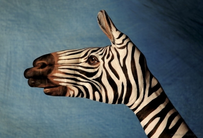 Zebra Hand