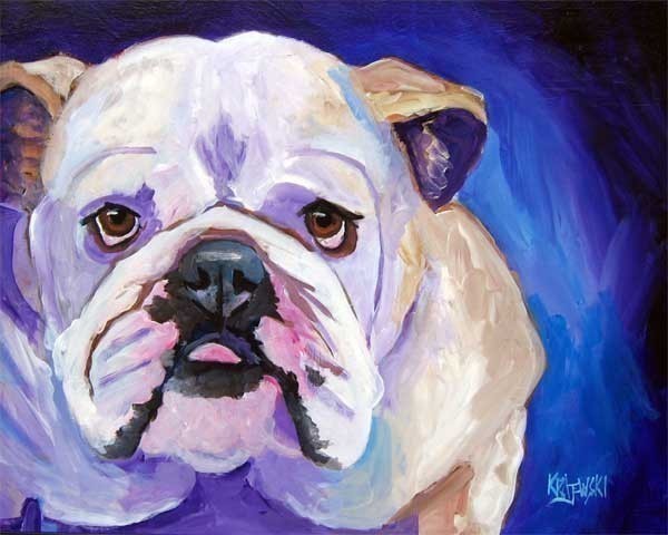 English Bulldog