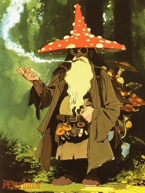 mushroom-wizard